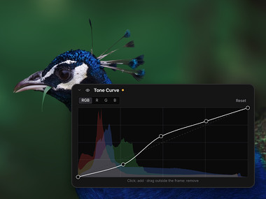 The peafowl’s head as Raelux renders it, with its Tone Curve: five points over the histogram
