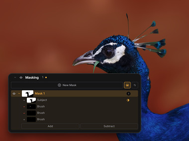 The peafowl with its background in red, and Raelux’s Masking panel: Mask 1, a Subject component and three Brush strokes